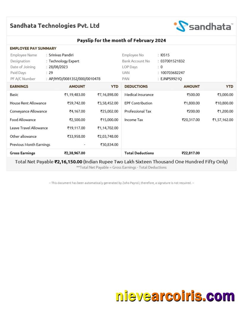 Sandhata Technologies payslip